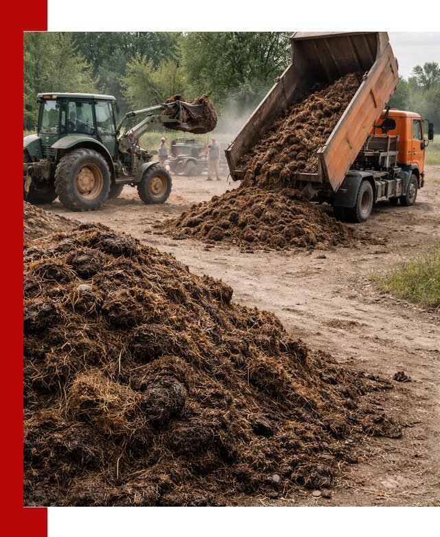Доставка навоза самосвалами в Луге для сельхозпотребностей