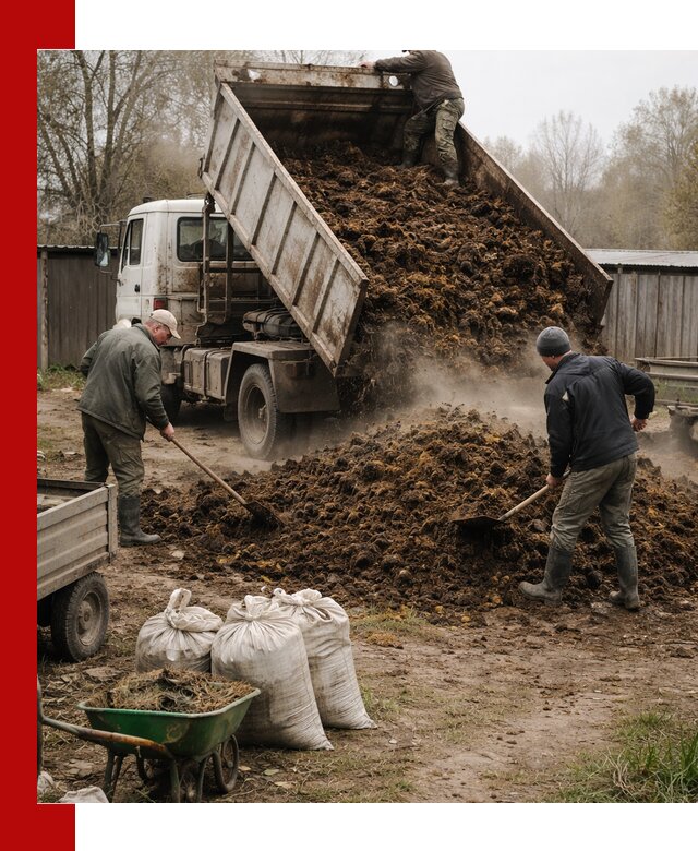 Доставка коровьего навоза самосвалом в Луге